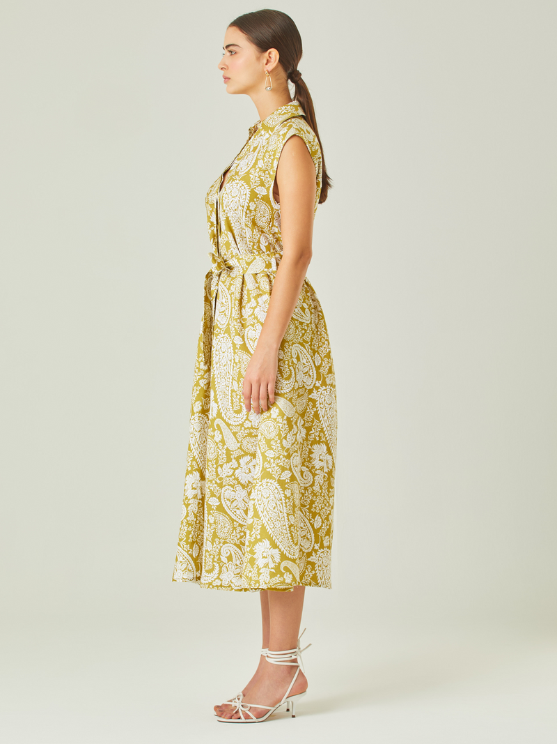 Roma Long Dress Lime